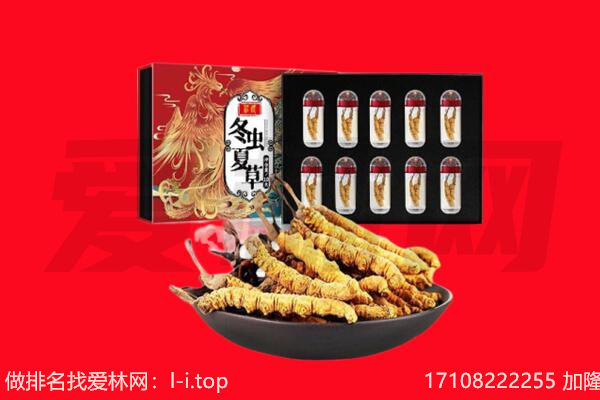 立山区回收虫草.jpg